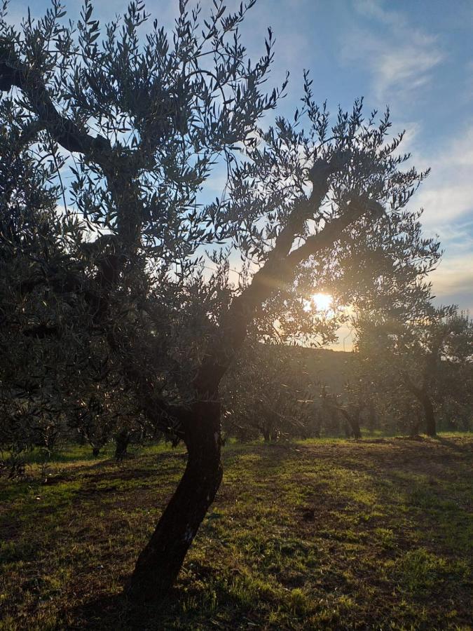 Casale Dei Priori Panzió Rocca Massima Kültér fotó