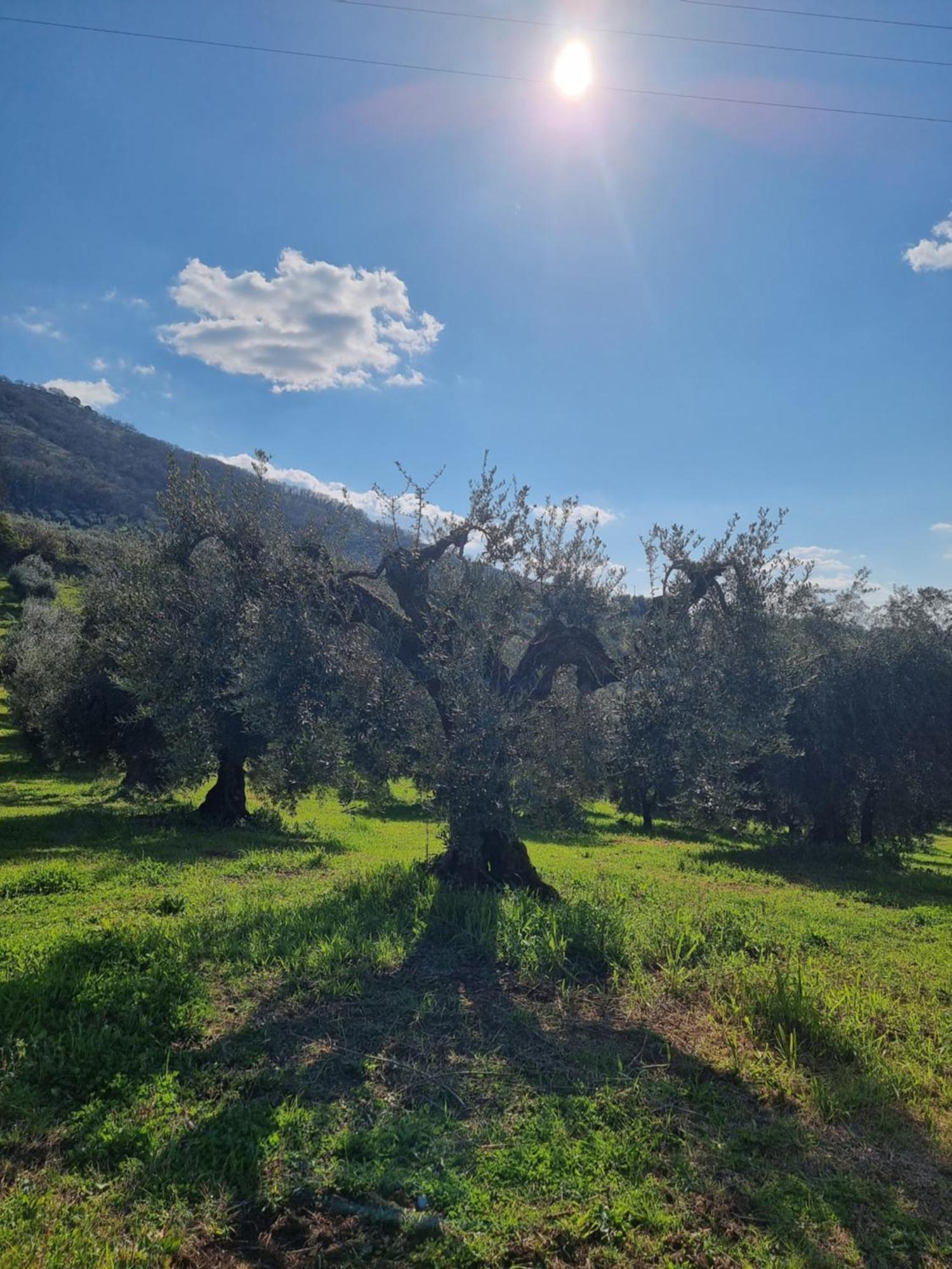 Casale Dei Priori Panzió Rocca Massima Kültér fotó