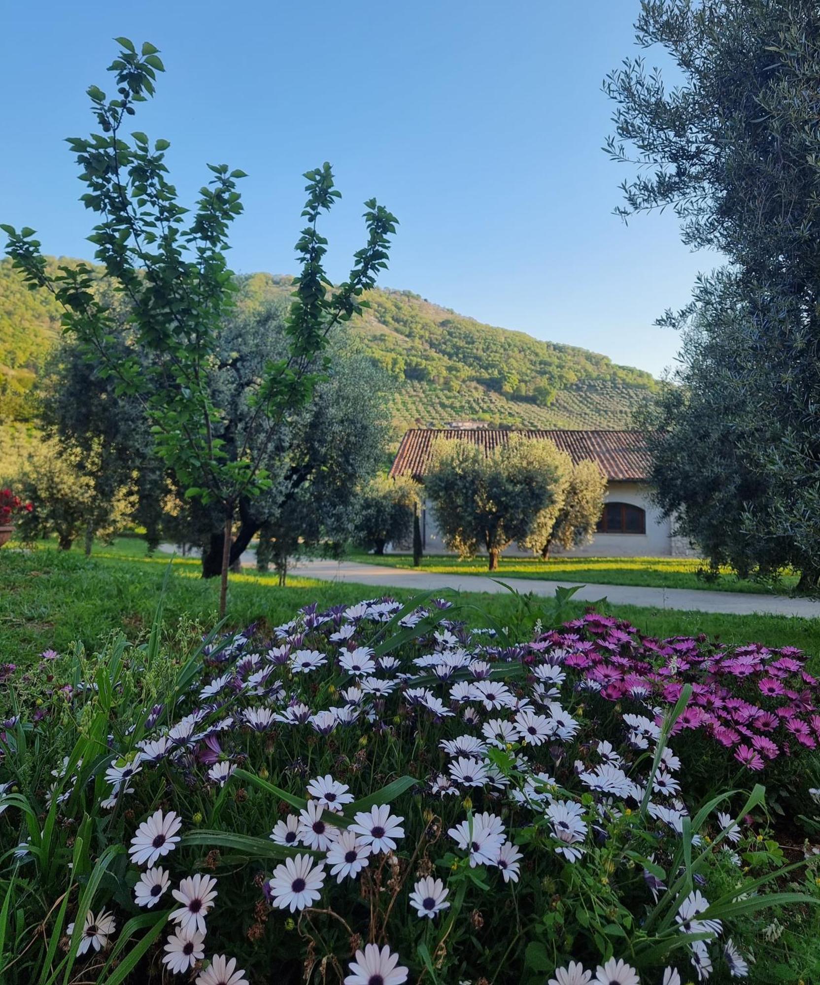Casale Dei Priori Panzió Rocca Massima Kültér fotó